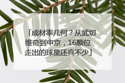 成材率几何？从武切维奇到申京，16顺位走出的球星还真不少