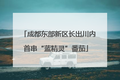 成都东部新区长出川内首串“蓝精灵”番茄