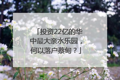 投资22亿的华中最大亲水乐园，何以落户蔡甸？