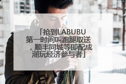 抢到LABUBU第一时间叫跑腿取送，顺丰同城等即配成潮玩经济参与者