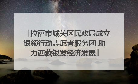 拉萨市城关区民政局成立银领行动志愿者服务团 助力西藏银发经济发展