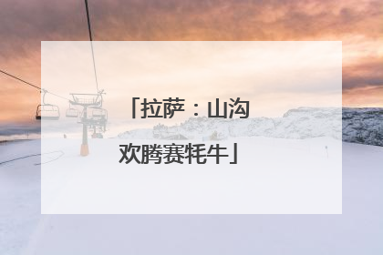 拉萨：山沟欢腾赛牦牛
