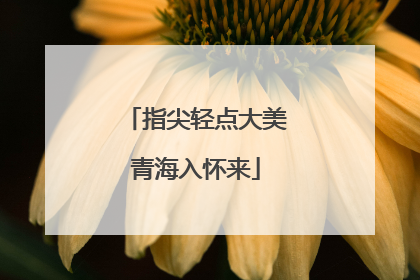 指尖轻点大美青海入怀来