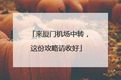 来厦门机场中转，这份攻略请收好
