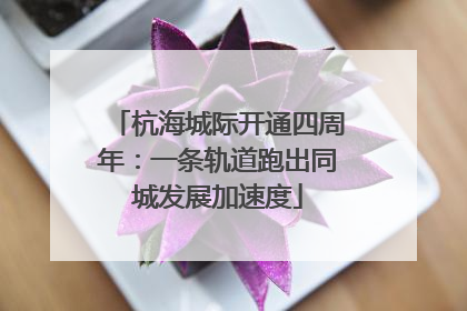 杭海城际开通四周年：一条轨道跑出同城发展加速度