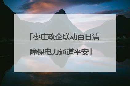 枣庄政企联动百日清障保电力通道平安