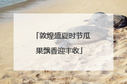 敦煌盛夏时节瓜果飘香迎丰收