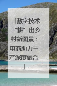数字技术“耕”出乡村新图景：电商助力三产深度融合