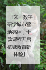 文三数字研学城市营地亮相，十款课程开启杭城教育新体验