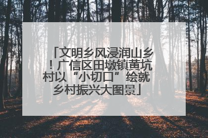 文明乡风浸润山乡！广信区田墩镇黄坑村以“小切口”绘就乡村振兴大图景