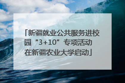 新疆就业公共服务进校园“3+10”专项活动在新疆农业大学启动