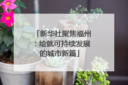 新华社聚焦福州：绘就可持续发展的城市新篇