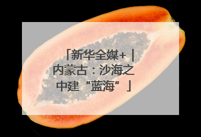 新华全媒+｜内蒙古：沙海之中建“蓝海”