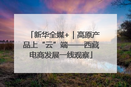 新华全媒+｜高原产品上“云”端——西藏电商发展一线观察