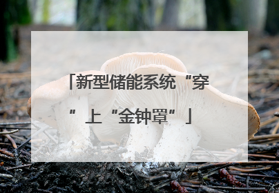 新型储能系统“穿”上“金钟罩”