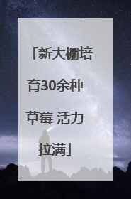 新大棚培育30余种草莓 活力拉满