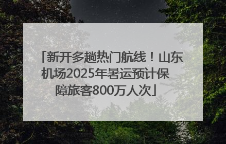 新开多趟热门航线！山东机场2025年暑运预计保障旅客800万人次
