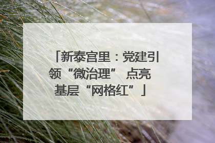 新泰宫里：党建引领“微治理” 点亮基层“网格红”