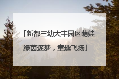 新都三幼大丰园区萌娃绿茵逐梦，童趣飞扬