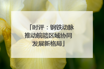 时评：钢铁动脉推动皖赣区域协同发展新格局