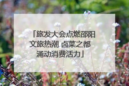 旅发大会点燃邵阳文旅热潮 卤菜之都涌动消费活力