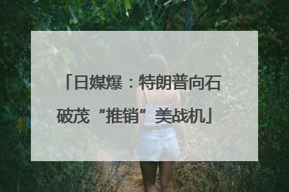 日媒爆：特朗普向石破茂“推销”美战机