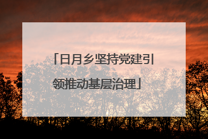 日月乡坚持党建引领推动基层治理