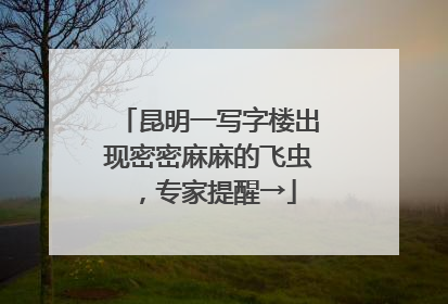 昆明一写字楼出现密密麻麻的飞虫，专家提醒→
