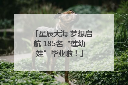 星辰大海 梦想启航 185名“莲幼娃”毕业啦！