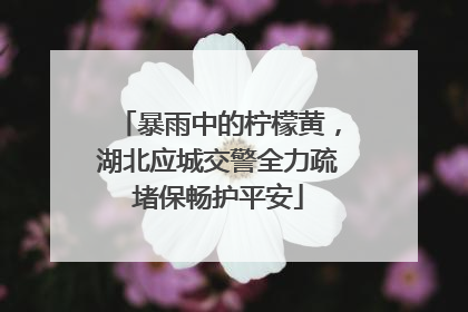 暴雨中的柠檬黄，湖北应城交警全力疏堵保畅护平安