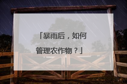 暴雨后，如何管理农作物？