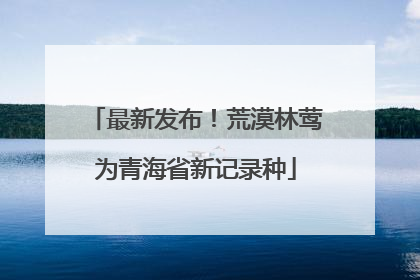 最新发布！荒漠林莺为青海省新记录种
