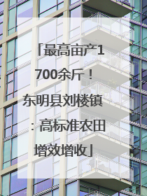 最高亩产1700余斤！东明县刘楼镇：高标准农田增效增收