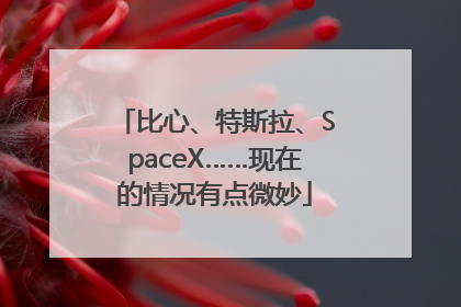 比心、特斯拉、SpaceX……现在的情况有点微妙