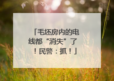 毛坯房内的电线都“消失”了！民警：抓！