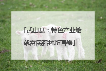 武山县：特色产业绘就富民强村新画卷