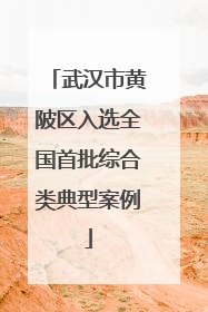 武汉市黄陂区入选全国首批综合类典型案例