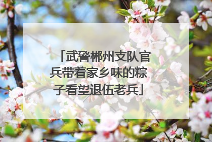 武警郴州支队官兵带着家乡味的粽子看望退伍老兵