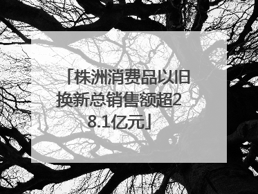 株洲消费品以旧换新总销售额超28.1亿元