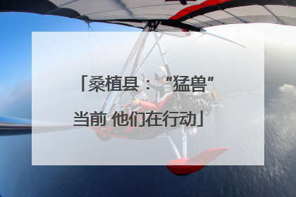 桑植县：“猛兽”当前 他们在行动
