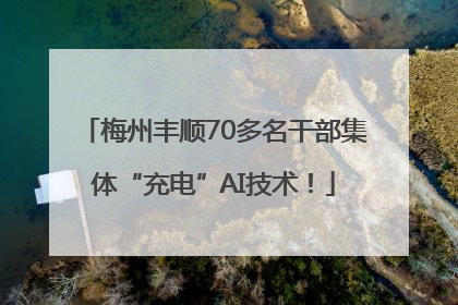 梅州丰顺70多名干部集体“充电”AI技术！