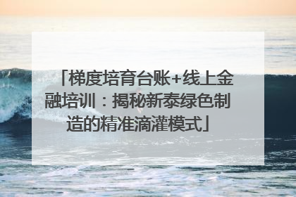 梯度培育台账+线上金融培训：揭秘新泰绿色制造的精准滴灌模式