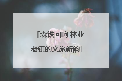 森铁回响 林业老镇的文旅新韵