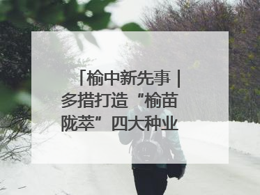 榆中新先事｜多措打造“榆苗陇萃”四大种业育苗品牌