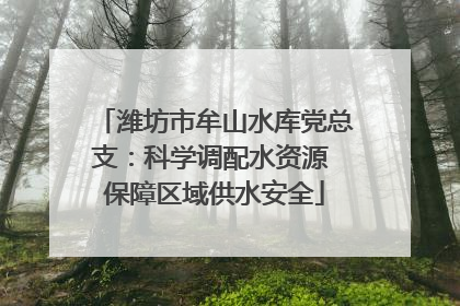 潍坊市牟山水库党总支：科学调配水资源 保障区域供水安全