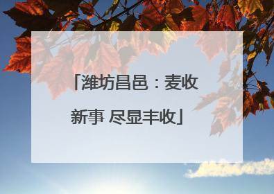 潍坊昌邑：麦收新事 尽显丰收