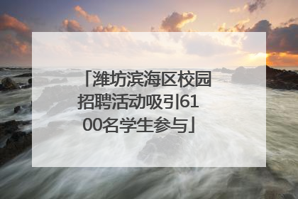 潍坊滨海区校园招聘活动吸引6100名学生参与