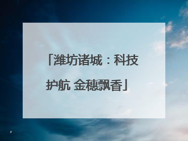 潍坊诸城：科技护航 金穗飘香