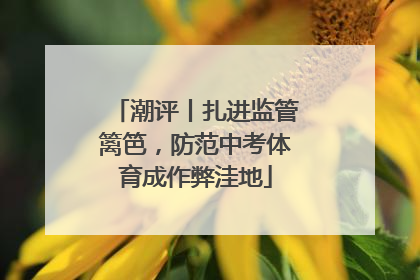 潮评丨扎进监管篱笆，防范中考体育成作弊洼地