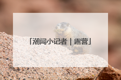 潮闻小记者｜露营